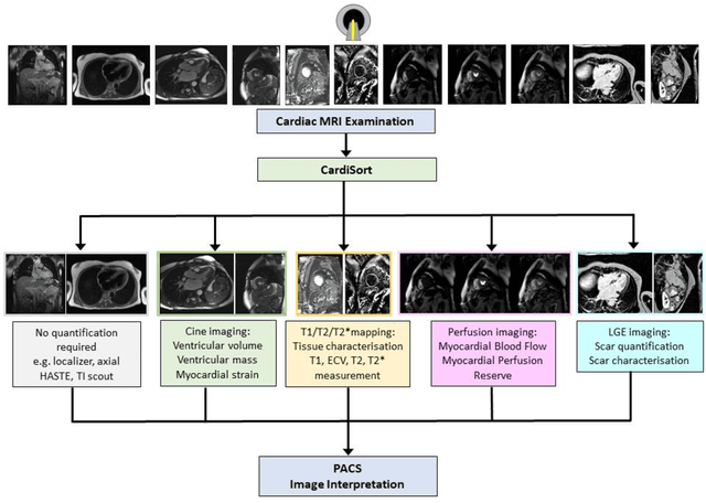 Figure 1 for CardiSort: a convolutional neural network for cross vendor automated sorting of cardiac MR images