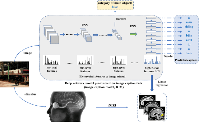 Figure 1 for Neural encoding and interpretation for high-level visual cortices based on fMRI using image caption features