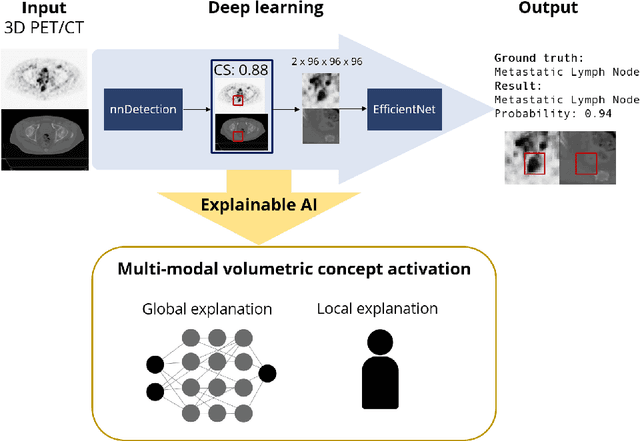 Figure 3 for Multi-modal volumetric concept activation to explain detection and classification of metastatic prostate cancer on PSMA-PET/CT