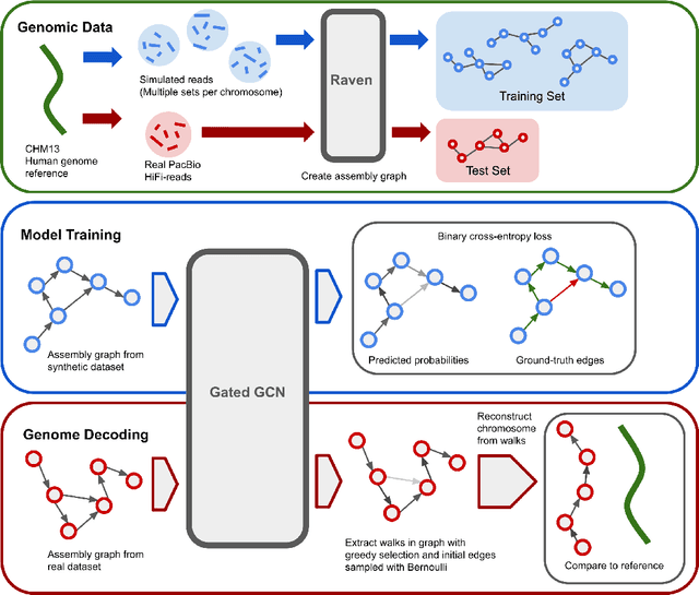 Figure 1 for Learning to Untangle Genome Assembly with Graph Convolutional Networks