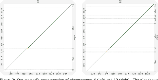 Figure 3 for Learning to Untangle Genome Assembly with Graph Convolutional Networks