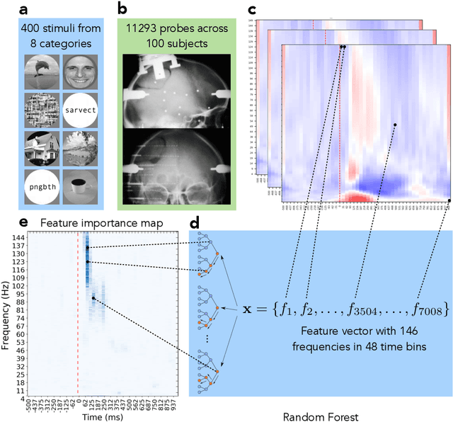 Figure 3 for Understanding Information Processing in Human Brain by Interpreting Machine Learning Models