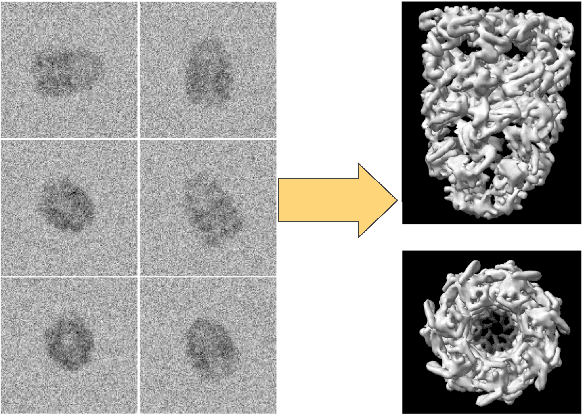 Figure 1 for Differentiable probabilistic models of scientific imaging with the Fourier slice theorem