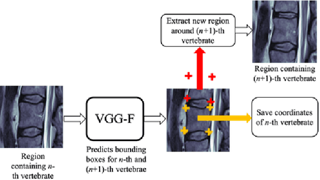Figure 1 for The Ladder Algorithm: Finding Repetitive Structures in Medical Images by Induction