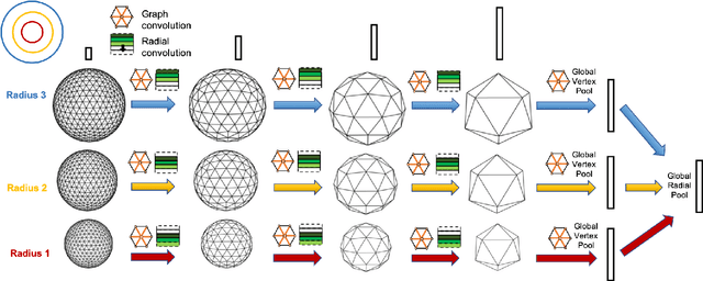 Figure 1 for Concentric Spherical GNN for 3D Representation Learning
