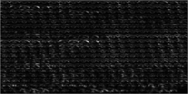 Figure 4 for An Experimental Study of Deep Convolutional Features For Iris Recognition