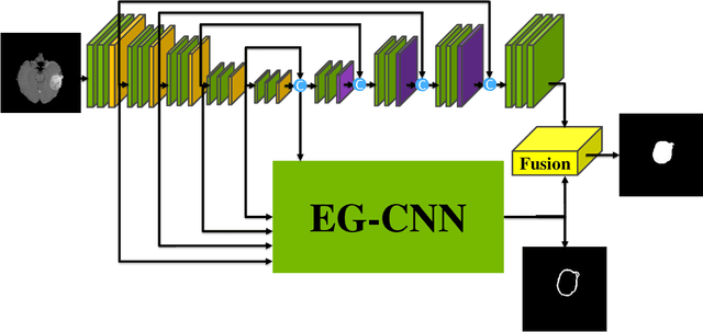 Figure 2 for Deep Learning of Unified Region, Edge, and Contour Models for Automated Image Segmentation