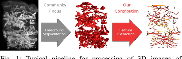 Figure 1 for Scalable Robust Graph and Feature Extraction for Arbitrary Vessel Networks in Large Volumetric Datasets