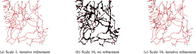 Figure 4 for Scalable Robust Graph and Feature Extraction for Arbitrary Vessel Networks in Large Volumetric Datasets