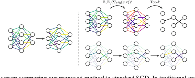 Figure 1 for Training Neural Networks with Fixed Sparse Masks
