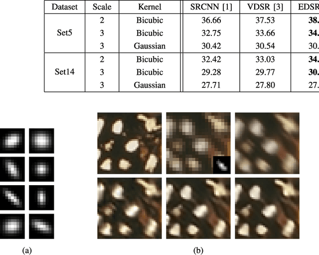 Figure 3 for Super-Resolution based on Image-Adapted CNN Denoisers: Incorporating Generalization of Training Data and Internal Learning in Test Time