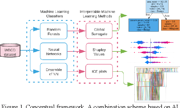 Figure 1 for Interpretability methods of machine learning algorithms with applications in breast cancer diagnosis