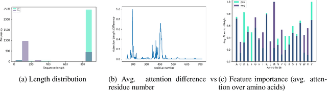 Figure 3 for Towards Interpreting Zoonotic Potential of Betacoronavirus Sequences With Attention