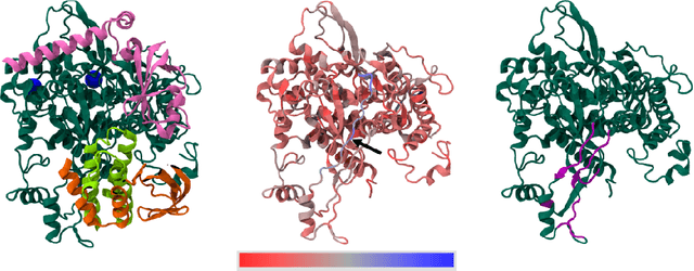Figure 4 for Towards Interpreting Zoonotic Potential of Betacoronavirus Sequences With Attention