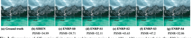 Figure 4 for Ensemble Neural Representation Networks