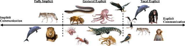 Figure 1 for Curriculum-Driven Multi-Agent Learning and the Role of Implicit Communication in Teamwork