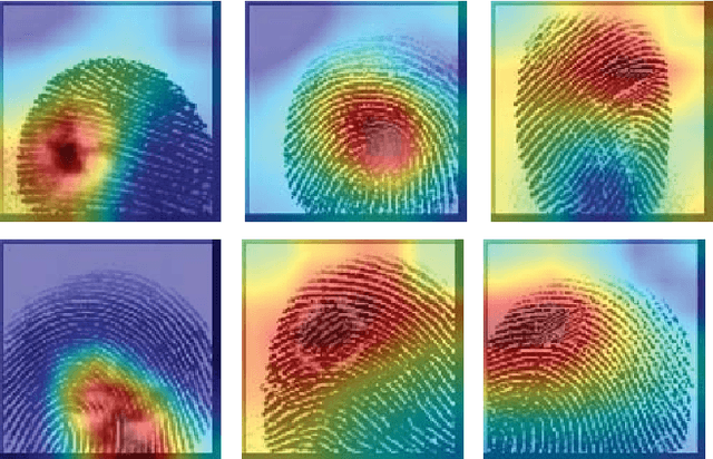 Figure 3 for Single architecture and multiple task deep neural network for altered fingerprint analysis