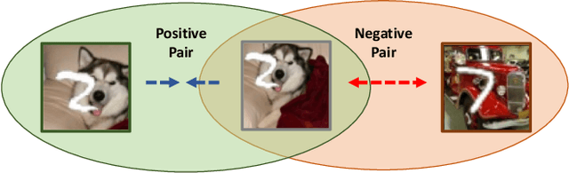 Figure 1 for Information-Preserving Contrastive Learning for Self-Supervised Representations