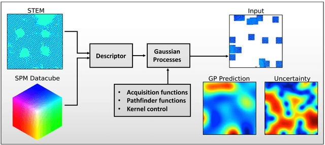 Figure 4 for Automated and Autonomous Experiment in Electron and Scanning Probe Microscopy