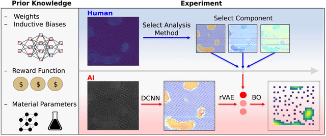 Figure 2 for Automated and Autonomous Experiment in Electron and Scanning Probe Microscopy