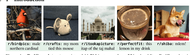 Figure 1 for RedCaps: web-curated image-text data created by the people, for the people