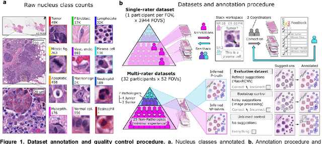 Figure 1 for NuCLS: A scalable crowdsourcing, deep learning approach and dataset for nucleus classification, localization and segmentation