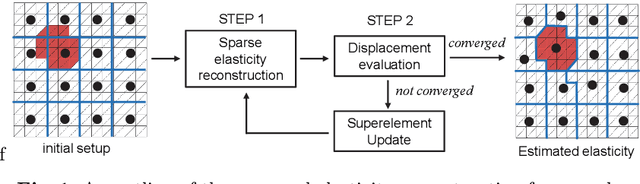 Figure 1 for Sparse Elasticity Reconstruction and Clustering using Local Displacement Fields
