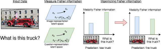 Figure 1 for Removing Bias in Multi-modal Classifiers: Regularization by Maximizing Functional Entropies