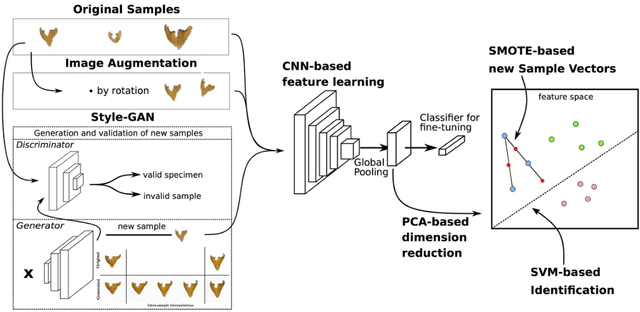 Figure 3 for Image-based Automated Species Identification: Can Virtual Data Augmentation Overcome Problems of Insufficient Sampling?