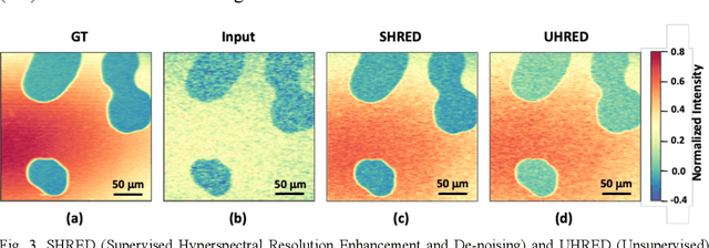 Figure 3 for Unsupervised Hyperspectral Stimulated Raman Microscopy Image Enhancement: De-Noising and Segmentation via One-Shot Deep Learning