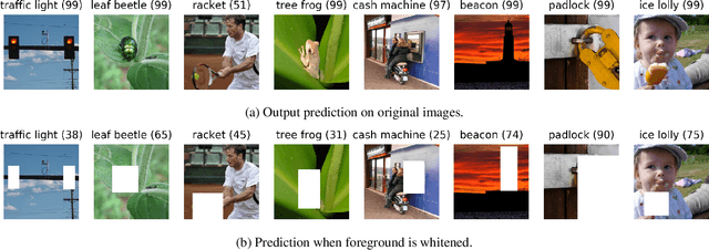 Figure 1 for Time for a Background Check! Uncovering the impact of Background Features on Deep Neural Networks