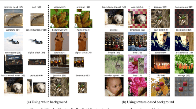 Figure 3 for Time for a Background Check! Uncovering the impact of Background Features on Deep Neural Networks