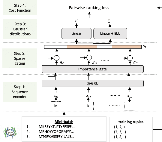 Figure 1 for Interpretable Structured Learning with Sparse Gated Sequence Encoder for Protein-Protein Interaction Prediction