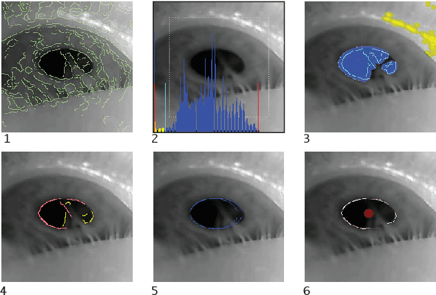 Figure 3 for Pupil: An Open Source Platform for Pervasive Eye Tracking and Mobile Gaze-based Interaction