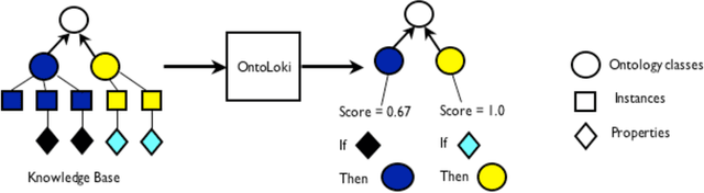 Figure 1 for OntoLoki: an automatic, instance-based method for the evaluation of biological ontologies on the Semantic Web