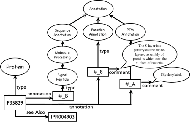 Figure 3 for OntoLoki: an automatic, instance-based method for the evaluation of biological ontologies on the Semantic Web