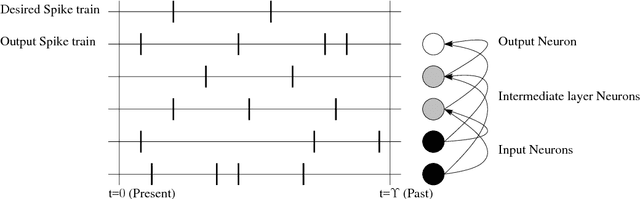 Figure 1 for Learning Precise Spike Train to Spike Train Transformations in Multilayer Feedforward Neuronal Networks