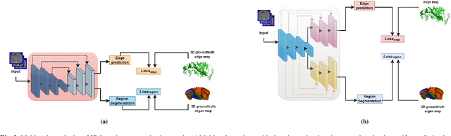 Figure 3 for Improved Abdominal Multi-Organ Segmentation via 3D Boundary-Constrained Deep Neural Networks