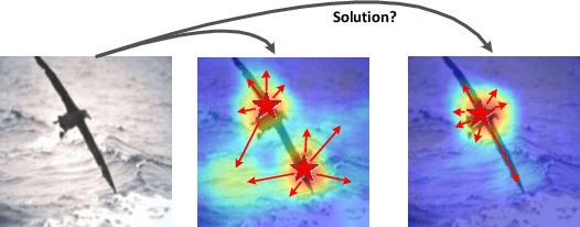 Figure 1 for Dual-attention Focused Module for Weakly Supervised Object Localization