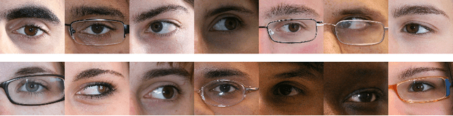 Figure 1 for Robust Periocular Recognition By Fusing Sparse Representations of Color and Geometry Information