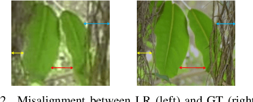 Figure 3 for Self-Supervised Learning for Real-World Super-Resolution from Dual Zoomed Observations