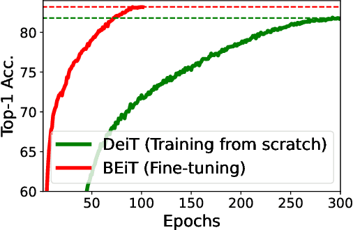 Figure 4 for BEiT: BERT Pre-Training of Image Transformers