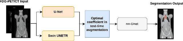 Figure 2 for Improved automated lesion segmentation in whole-body FDG/PET-CT via Test-Time Augmentation