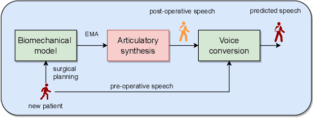 Figure 1 for Manipulation of oral cancer speech using neural articulatory synthesis