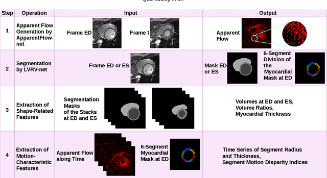 Figure 1 for Explainable cardiac pathology classification on cine MRI with motion characterization by semi-supervised learning of apparent flow