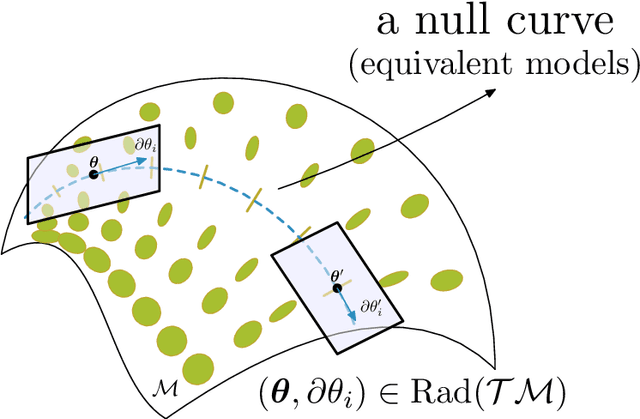 Figure 1 for Lightlike Neuromanifolds, Occam's Razor and Deep Learning