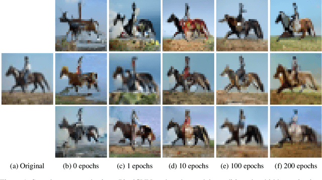 Figure 1 for What Information Does a ResNet Compress?