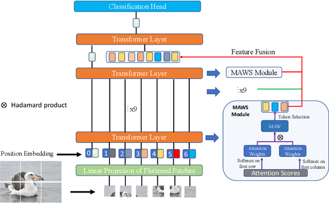 Figure 3 for Feature Fusion Vision Transformer Fine-Grained Visual Categorization