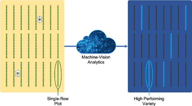 Figure 1 for High Throughput Soybean Pod-Counting with In-Field Robotic Data Collection and Machine-Vision Based Data Analysis