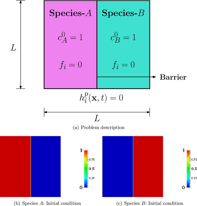 Figure 2 for Physics-Informed Machine Learning Models for Predicting the Progress of Reactive-Mixing